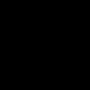 Meet your Posher, Stormi